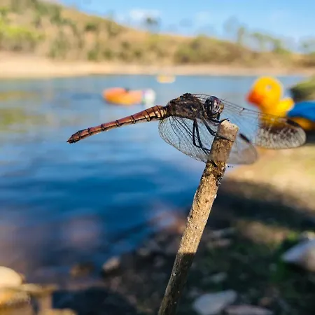 Nyaraló Abrunheiro Grande