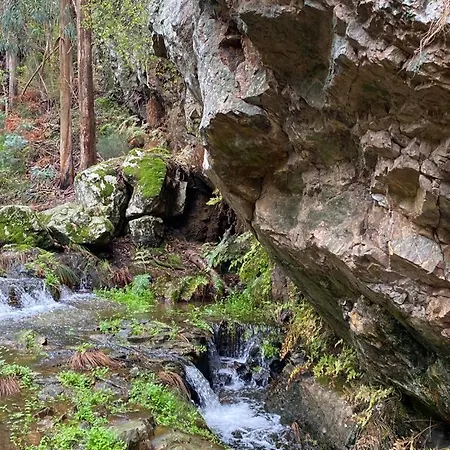 Abrunheiro Grande Nyaraló